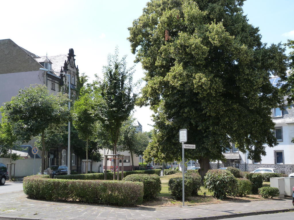 Hotel Jaegerhof Mayen Εξωτερικό φωτογραφία
